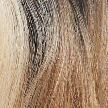 Trueline Braid Lace Wig TBL34