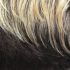 KIMA BRAID KOW20" ONYX